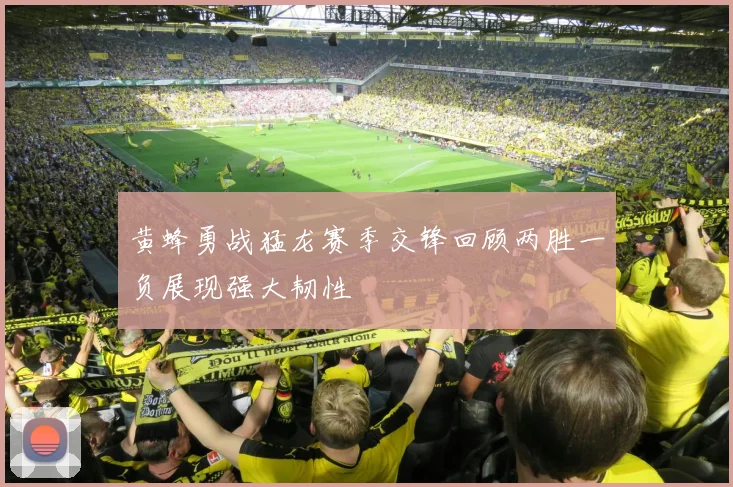 黄蜂勇战猛龙赛季交锋回顾两胜一负展现强大韧性